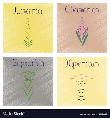 Assembly shading style chamerion vector image