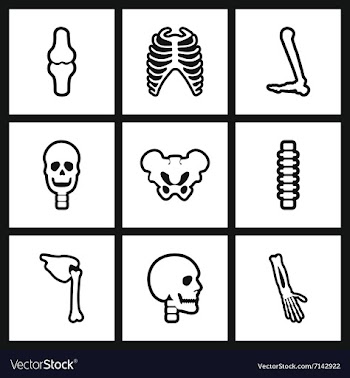 Assembly stylish black and white icons human bones vector image
