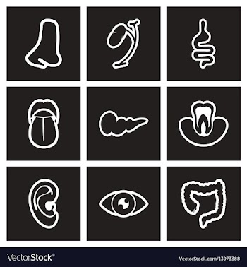 Assembly stylish black and white icons human vector image