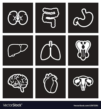 Assembly stylish black and white icons human vector image