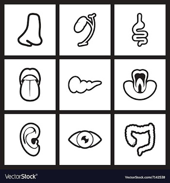 Assembly stylish black and white icons human vector image