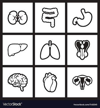 Assembly stylish black and white icons human vector image