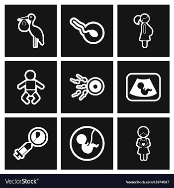 Assembly stylish black and white icons obstetrics vector image