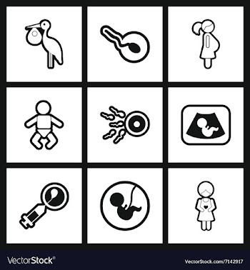 Assembly stylish black and white icons obstetrics vector image