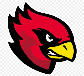 Assindia Cardinals Sportpark am Hallo Arizona Cardinals Bielefeld Bulldogs American football - american football 