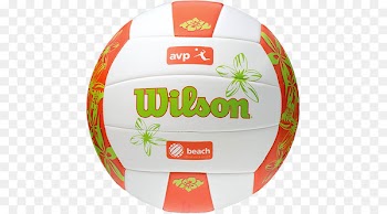 Association of Volleyball Professionals Beach volleyball Hawaii Rainbow Wahine volleyball - volleyball 