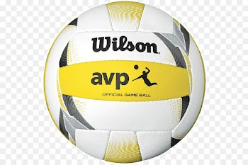 Association of Volleyball Professionals Wilson Sporting Goods - volleyball 