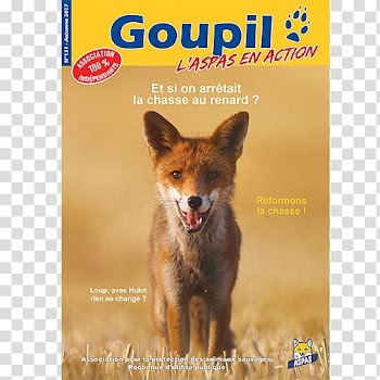 Association pour la Protection des Animaux Sauvages Magazine caption News Table of contents, Aspas transparent background PNG clipart