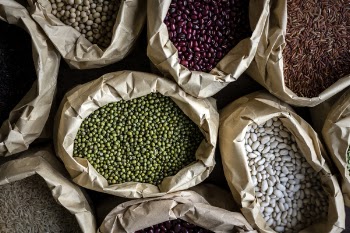 Assorted Beans in Brown Sacks