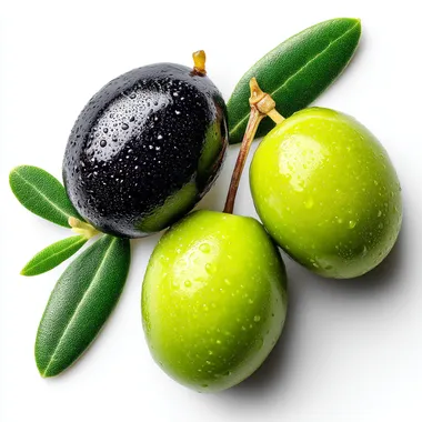 Assorted Black and Green Olives with Leaves Assorted Black and Green Olives with Leaves
