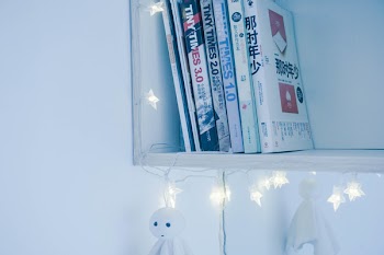 Assorted Books On White Shelf