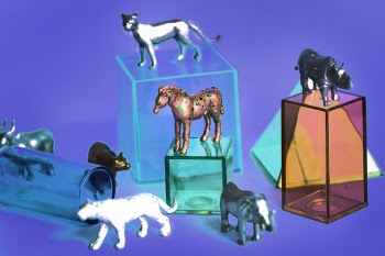 Assorted-color Animal Illustration