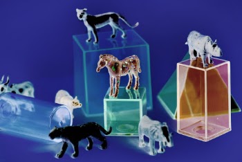 Assorted-color Animal Illustrations