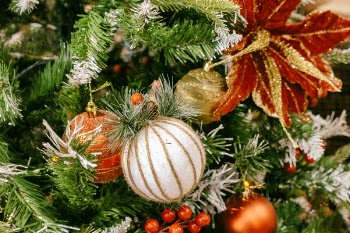 Assorted-color Bauble Lot on Tree