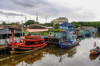 Assorted Color Boats on Body of Water Beside Houses and Trees Under White Sky at Daytime