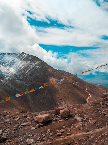 Assorted-color Buntings Near Mountain