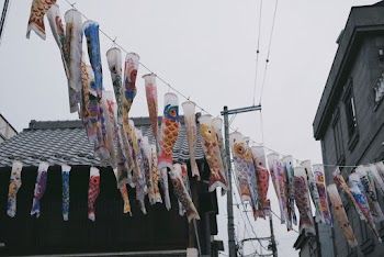 Assorted-color Carp Streamers