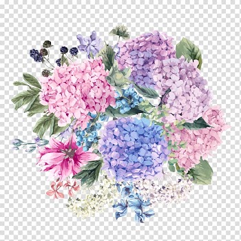 Assorted-color cluster flowers illustration, French hydrangea Cut flowers Floral design, flower transparent background PNG clipart