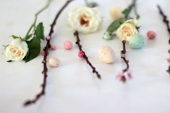 assorted-color decorative