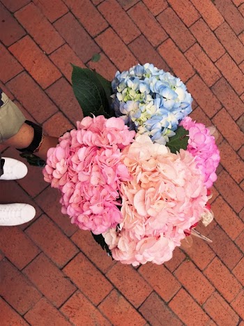 Assorted-color Flower Bouquets on Ground