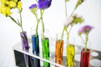 Assorted-color Flowers