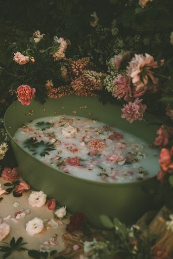 assorted-color flowers