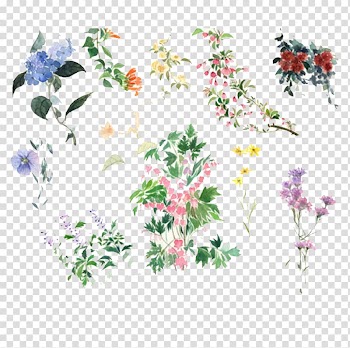 Assorted-color flowers illustration, Flower Icon, South Korean small fresh hand-painted flowers transparent background PNG clipart