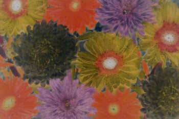 Assorted-color Flowers Painting