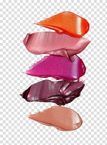 Assorted-color foundation creams, Make-up artist Cosmetics Artists portfolio Book, Multicolor color lipstick smear test different color transparent background PNG clipart