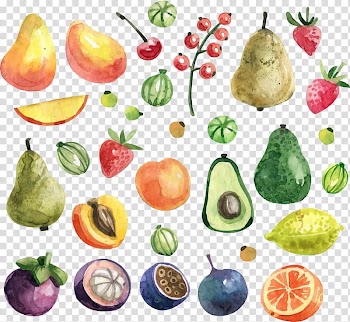 Assorted-color fruit , Fruit Watercolor painting Apricot, Green avocado transparent background PNG clipart