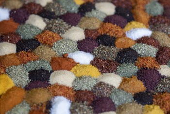 Assorted-color Herbs