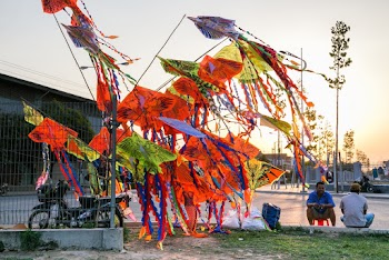 Assorted-color Kites