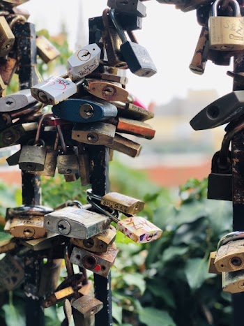 Assorted-color Padlocks Locked Up in Black Metal Fences