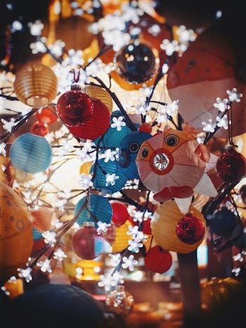 assorted-color paper lanterns hanging on tree