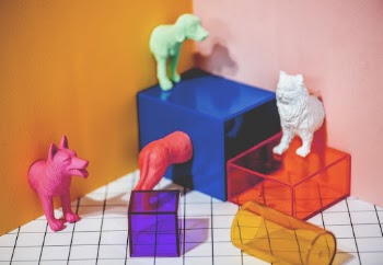 Assorted-color Plastic Case