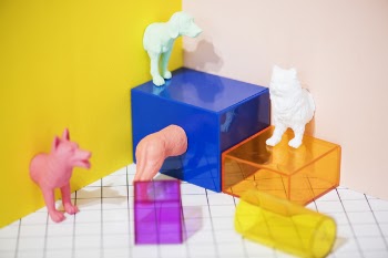 Assorted-color Transparent Boxes