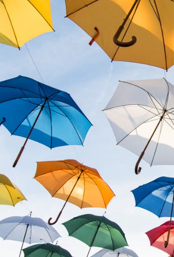 Assorted-color Umbrella Lot