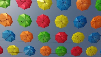assorted-color umbrella lot