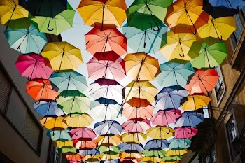 assorted-color umbrella roof design