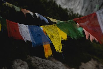 assorted-colored ripped buntings