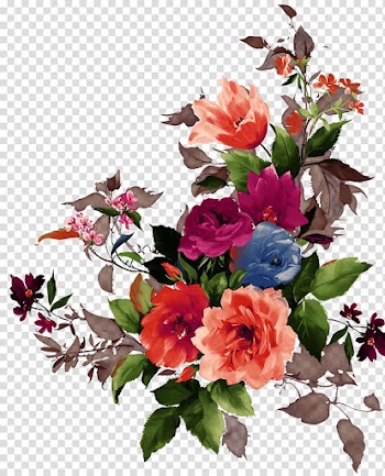 Assorted-colored roses illustration, Flower Raceme Euclidean Computer file, flowers,Flower cluster transparent background PNG clipart