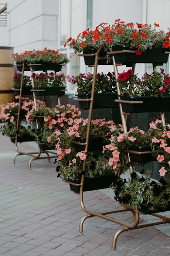 Assorted-colors of Flowers on Rack Inside White Painted Room