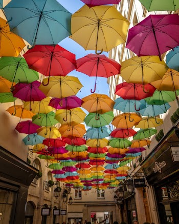 Assorted Colour Umbrellas