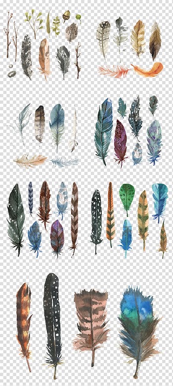 Assorted feather illustrations, Watercolour Flowers Watercolor painting, Hand-painted watercolor feather transparent background PNG clipart