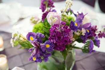 Assorted Flowers iI Clear Glass Vase In Tilt Shift Photography
