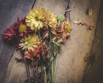 assorted flowers on brown wooden table