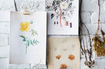 assorted flowers painting