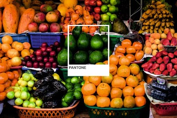 Assorted Fruits in Baskets