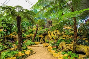 Assorted Green Plants and Trees