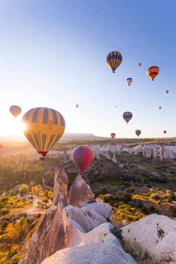 assorted hot air balloons